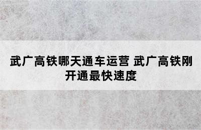 武广高铁哪天通车运营 武广高铁刚开通最快速度